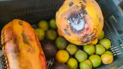 హైవే హోటళ్లలో అపరిశుభ్రత, ఫుడ్ సేఫ్టీ అధికారుల కొరడా