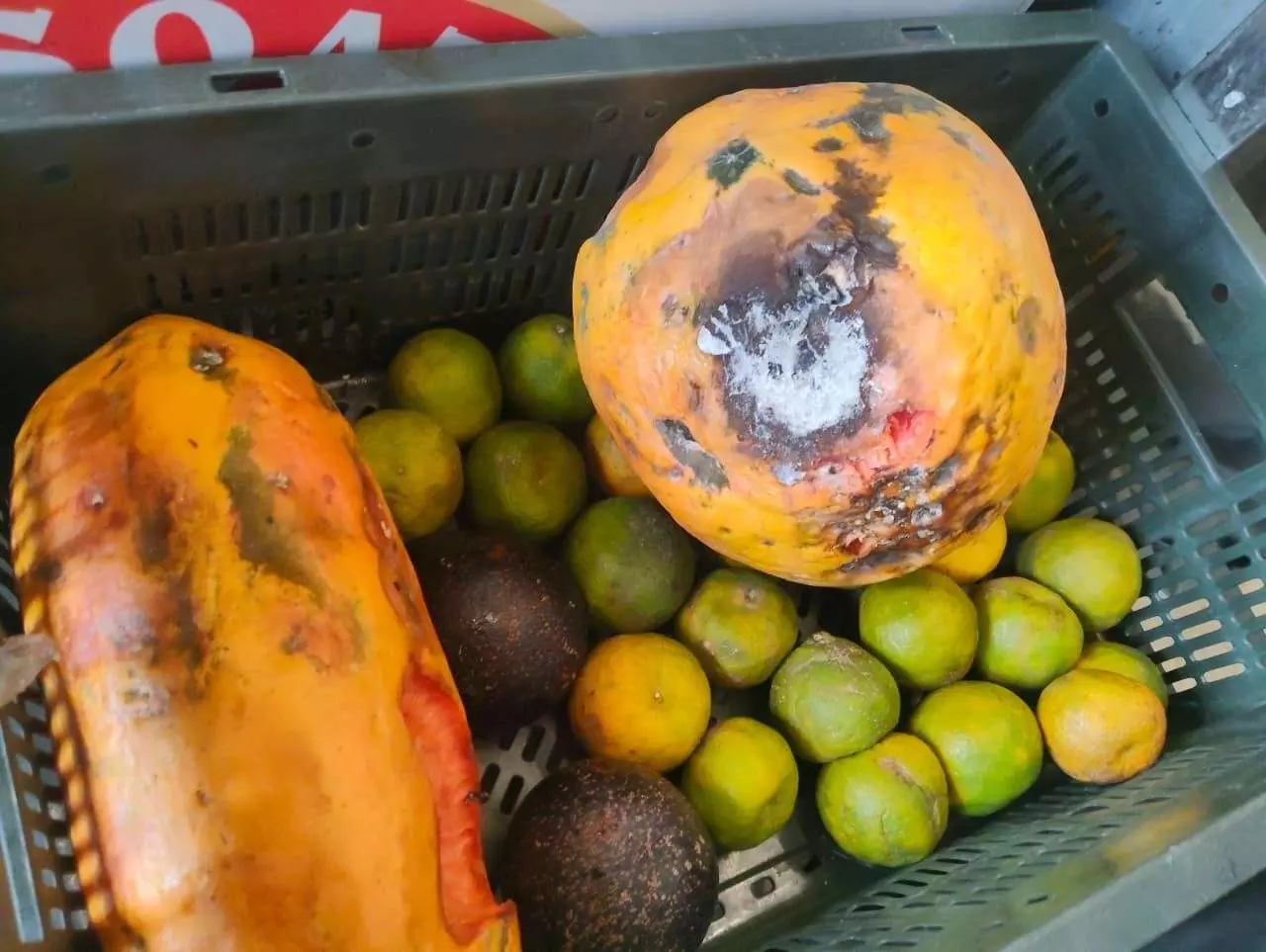 హైవే హోటళ్లలో అపరిశుభ్రత, ఫుడ్ సేఫ్టీ అధికారుల కొరడా హైవే హోటళ్లలో అపరిశుభ్రత, ఫుడ్ సేఫ్టీ అధికారుల కొరడా