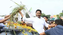 కృష్ణా జిల్లా తుపాను బాధిత రైతులకు జగన్‌ పరామర్శ