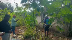 ఆఫ్రికన్ నత్తల నివారణకు స్ప్రేయింగ్ ఆపరేషన్ షురూ