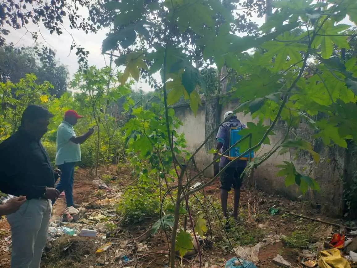 ఆఫ్రికన్ నత్తల నివారణకు స్ప్రేయింగ్ ఆపరేషన్ షురూ ఆఫ్రికన్ నత్తల నివారణకు స్ప్రేయింగ్ ఆపరేషన్ షురూ