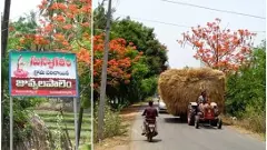 లంక భూముల్లో సాహితీ సేద్యం
