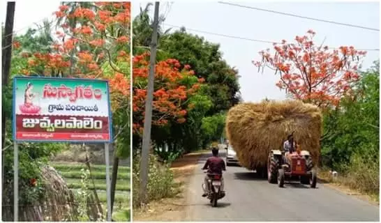 లంక భూముల్లో సాహితీ సేద్యం