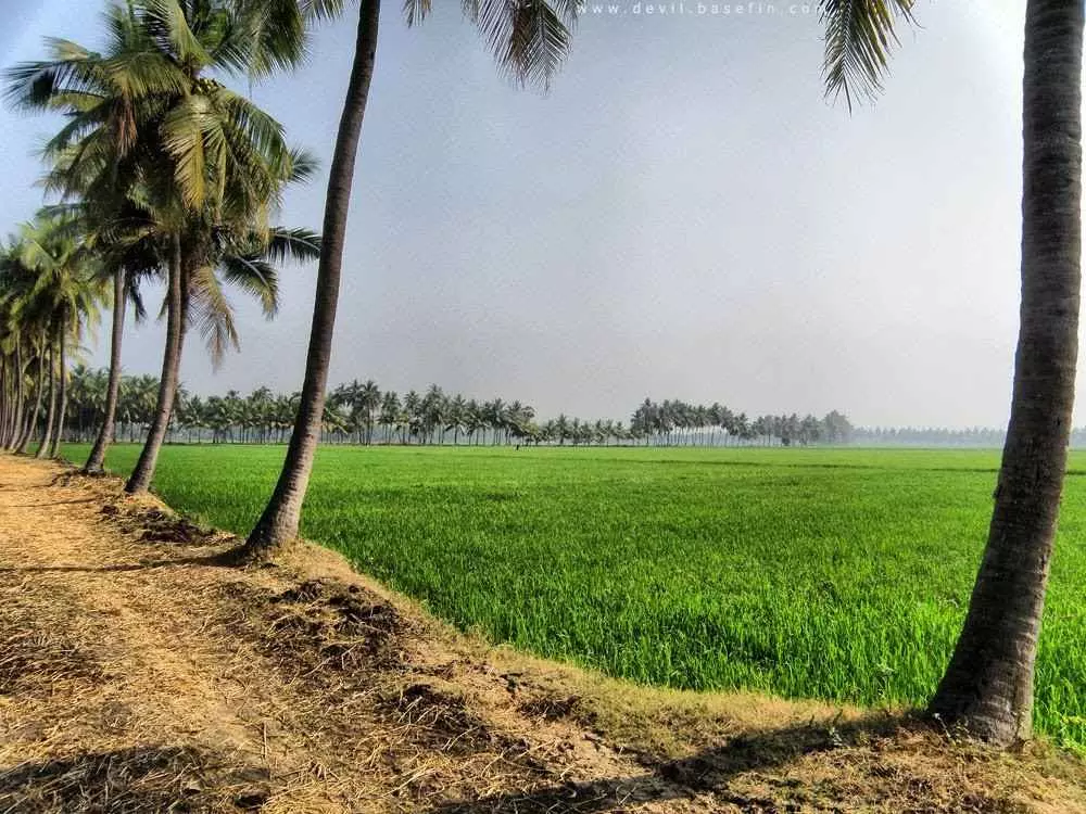 పోటొస్తే, నది అయినా వెనక్కి తగ్గక తప్పదు!?