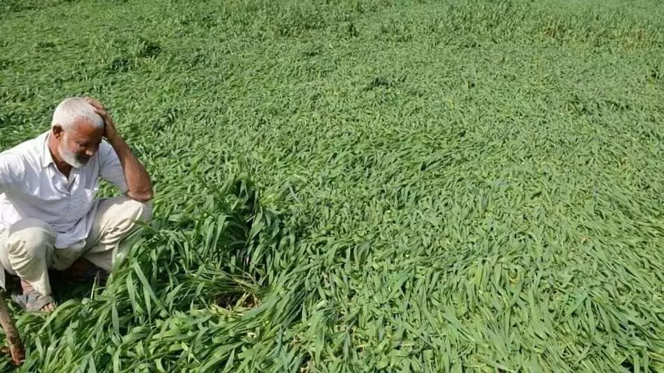 ప్రభుత్వం మొంథా తుఫాను పంట నష్టాన్ని తగ్గించి చూపుతోంది: రైతు సంఘాలు