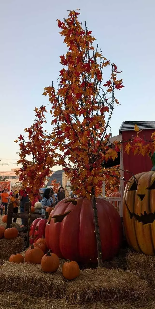 అక్టోబర్, నువ్వు ఆత్మల నెలవి! అక్టోబర్, నువ్వు ఆత్మల నెలవి!