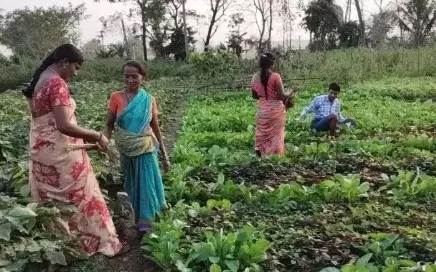 రైతన్నా.. బాగున్నావా, మీ కోసం వచ్చాం! రైతన్నా.. బాగున్నావా, మీ కోసం వచ్చాం!