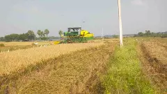 ‘‘హార్వెస్టర్ల కోసం రైతుల అగచాట్లు’’