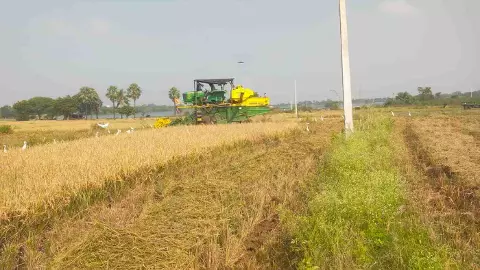 ‘‘హార్వెస్టర్ల కోసం రైతుల అగచాట్లు’’ ‘‘హార్వెస్టర్ల కోసం రైతుల అగచాట్లు’’