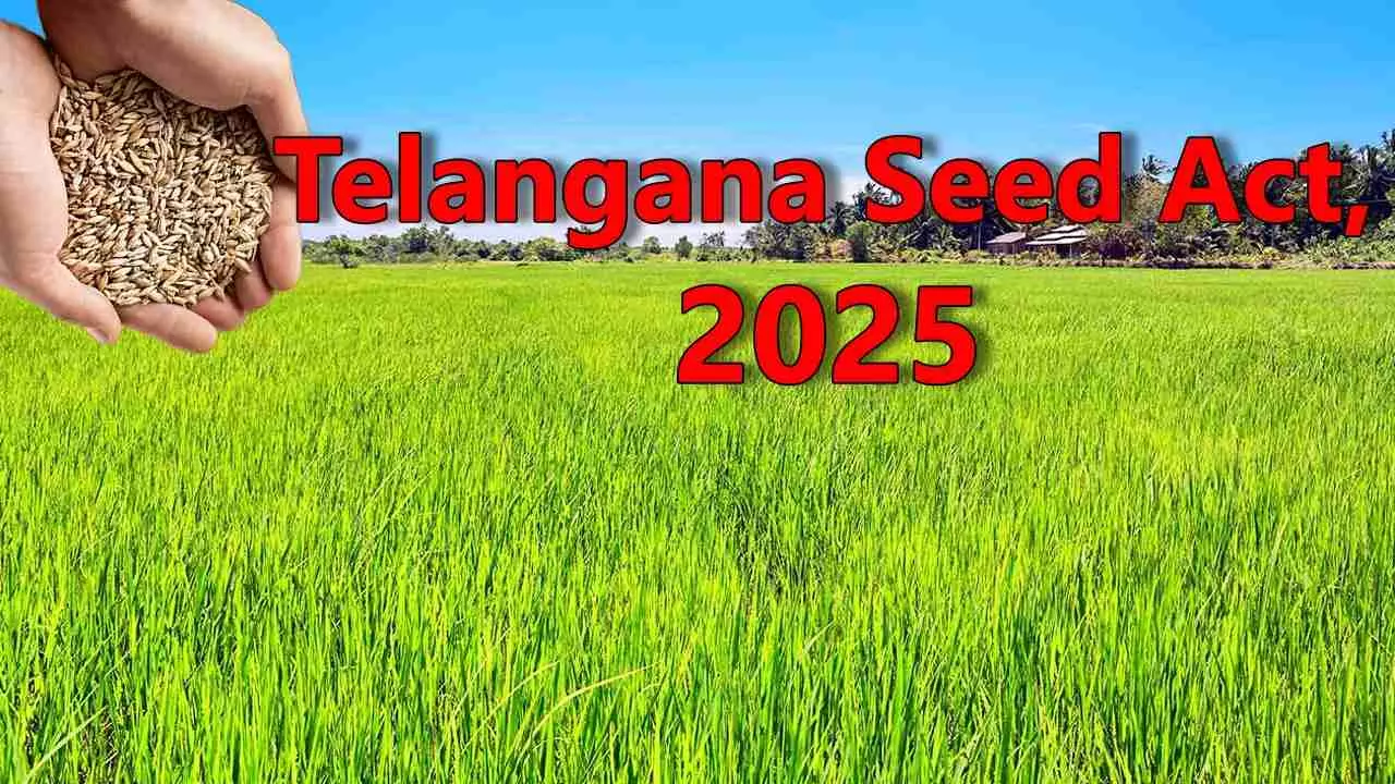 తెలంగాణ విత్తన చట్టం మ్యానెఫెస్టోకే పరిమితమా ?