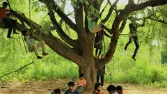 ఉపాధ్యాయులు లేని విద్యాలయం -అక్షరవనం