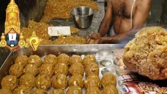 కల్తీ నెయ్యి కేసులో తొలి టీటీడీ వికెట్ డౌన్! కల్తీ నెయ్యి కేసులో తొలి టీటీడీ వికెట్ డౌన్!