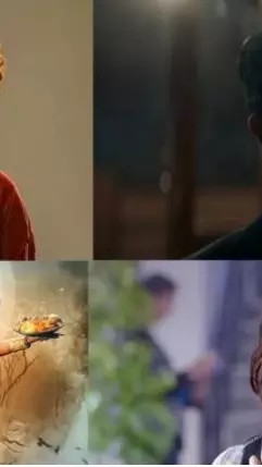 భాక్సాఫీస్: న‌వంబ‌ర్ లో నెగ్గిందెవ‌రు?