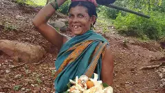 అల్లూరి జిల్లా ఆదివాసీలు ఆరగించేవి ఇవే..