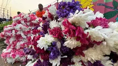 పూలండోయ్ పూలూ… విజయవాడ నిండా రంగురంగుల పూలు!