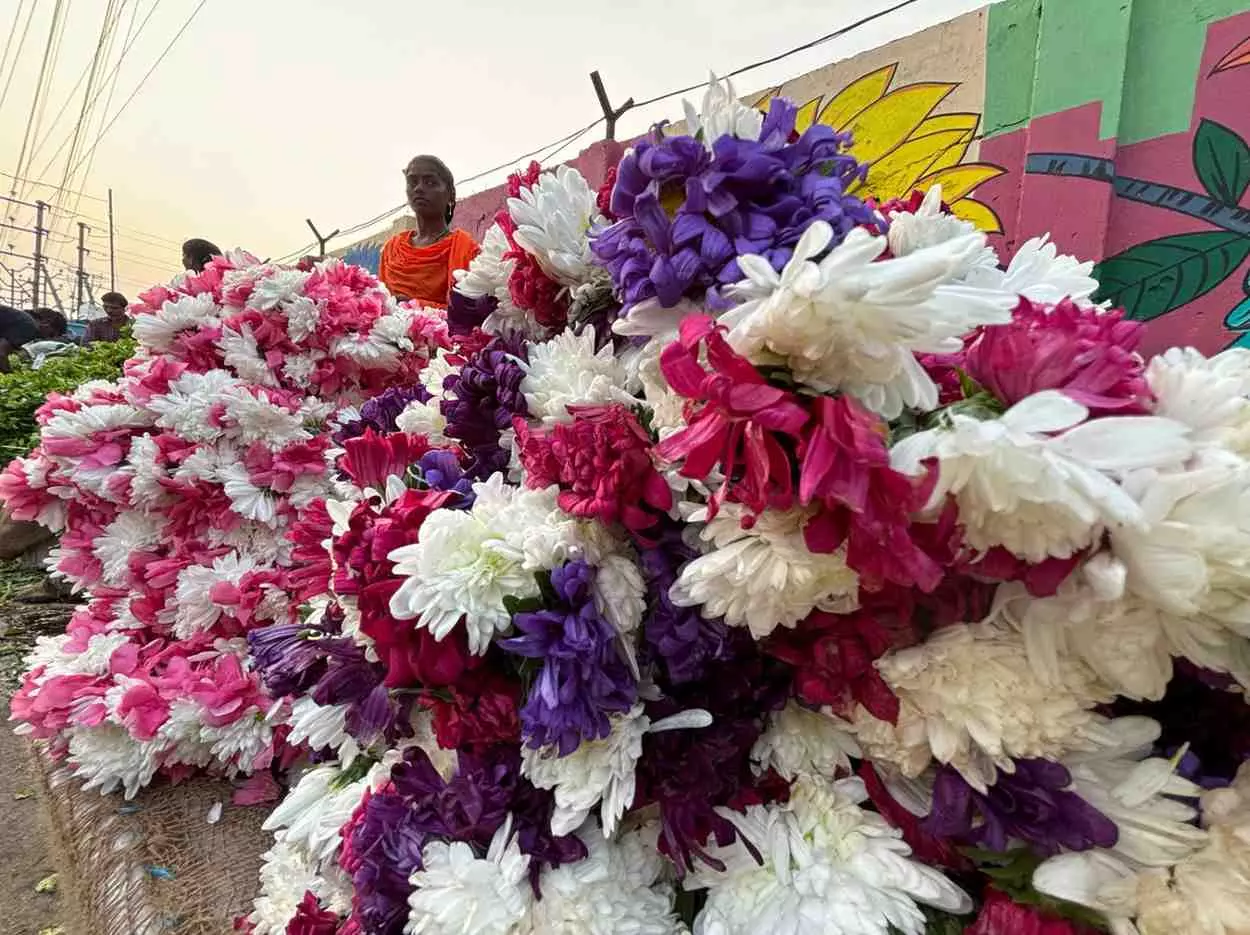 పూలండోయ్ పూలూ… విజయవాడ నిండా రంగురంగుల పూలు!