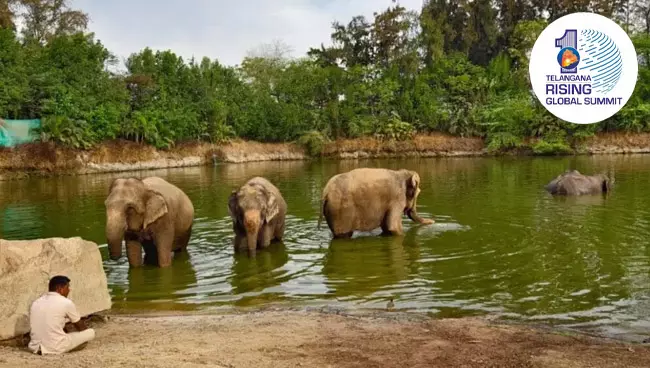 ఫ్యూచర్ సిటిలో జూ ఏర్పాటుకు ఒప్పందం..