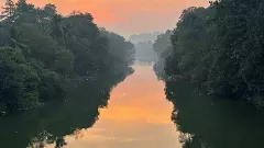 మనిషన్నాకా కాస్తంత కళా పోషణ ఉండాల్నా లేదా!