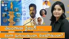తెలంగాణా రైజింగ్ ....కలగా మిగులుతుందా, నిజమౌతుందా?
