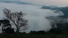 స్వర్గాన్ని తలపిస్తున్న ఆంధ్రా ఊటి!