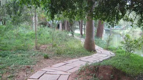 గాలి నవ్వే తావులు...