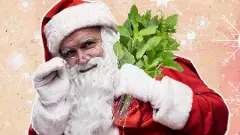 ‘‘శాంతాక్లాజ్ తరహ డ్రెస్సులు వేసుకోమని బలవంతం చేయొద్దు’’