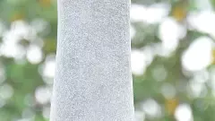 ‘మతమార్పిడి కుల వివక్షను, ఆర్ధిక దోపిడీని తొలగించ లేదు’