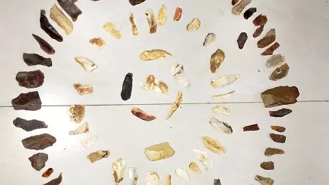 తెలంగాణ భూపతిపూర్ వద్ద కనిపించిన పాతరాతియుగం పనిముట్లు తెలంగాణ భూపతిపూర్ వద్ద కనిపించిన పాతరాతియుగం పనిముట్లు