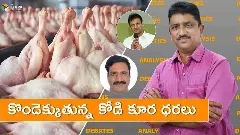 పండగ పూట పేట్రేగిన చికెన్ ధరలు పండగ పూట పేట్రేగిన చికెన్ ధరలు