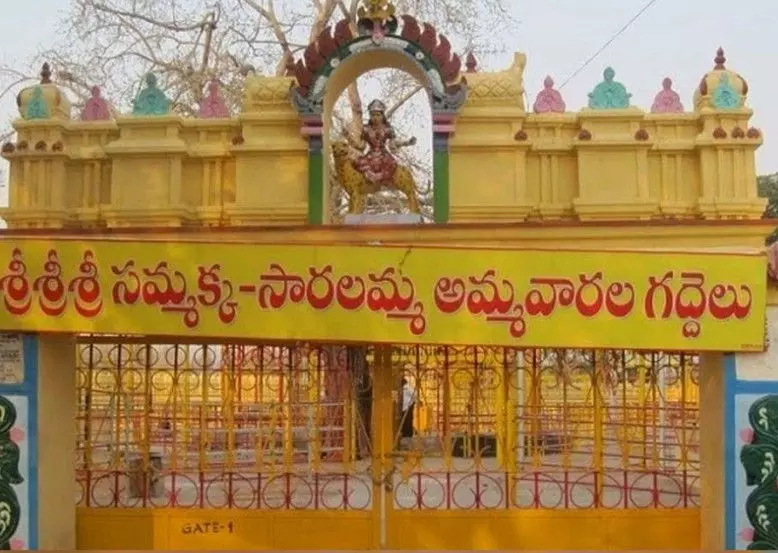 మేడారం భక్తుల కోసం పాము కాటు చికిత్స మందులు కూడా రెడీ మేడారం భక్తుల కోసం పాము కాటు చికిత్స మందులు కూడా రెడీ