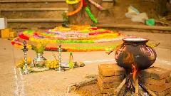 తెలంగాణ సంక్రాంతి సోయగాలు అన్నీ ఇన్నీ కావు !