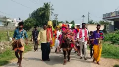 సంక్రాంతి సంబరాలలో గంగిరెద్దులు, హరిదాసులు కనుమరుగు