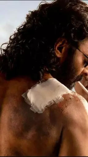 ‘రాజా సాబ్’కు 100 కోట్ల నష్టం?సందీప్ వంగా మీదే భారం?