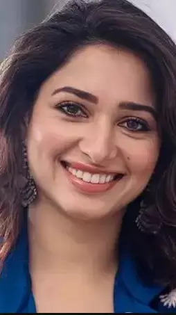 సౌత్ సినిమాలని దూరం పెడుతున్న మిల్కీ బ్యూటీ?