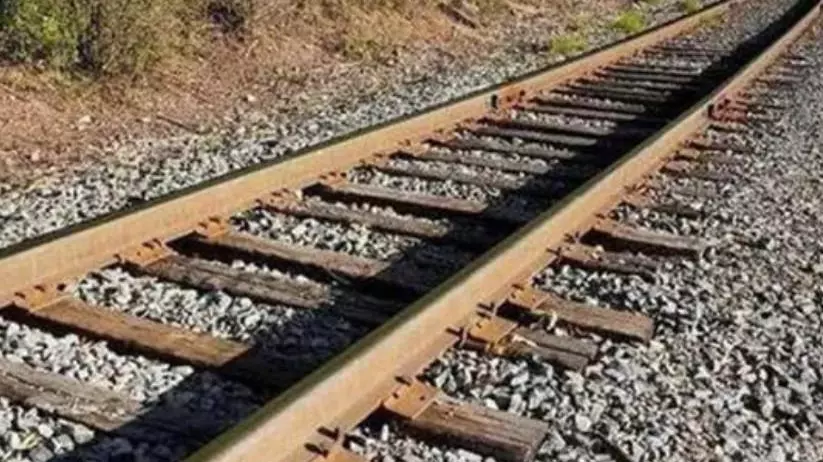 ఎదిగిన ఇద్దరు బిడ్డలతో సాఫ్ట్ వేర్ తల్లి ఆత్మహత్య