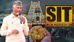 తిరుపతి లడ్డూ వివాదం పుట్టిందెక్కడ, ముగిసిందెక్కడ?