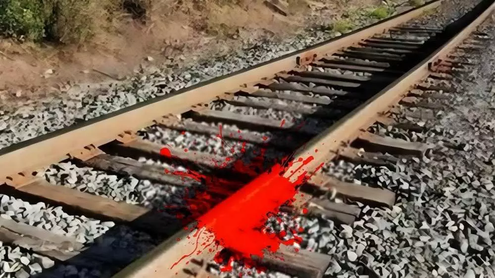 అమ్మ చనిపోవాలని అనుకుంటే…  పిల్లలు ఎందుకు ‘ఆపలేకపోయారు.