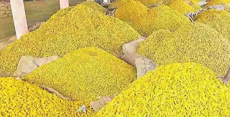 పసుపు బోర్డుకు మరోసారి పైసా ఇవ్వని కేంద్ర బడ్జెట్