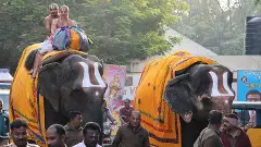 వైభవంగా శ్రీనివాస మంగాపురం ఆండాళ్‌ అమ్మవారి మాలల ఊరేగింపు