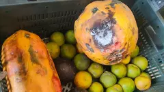 కల్తీపై కఠిన చర్యలు: హైదరాబాద్‌లో ప్రముఖ ఫుడ్ చైన్లపై వరుస దాడులు