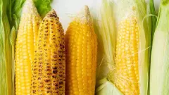 అమెరికా మక్కతో తెలంగాణ  రైతులకు ఇక్కట్లు తప్పవా?