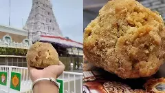 తిరుపతి లడ్డుకు నెయ్యి కొరత లేదు