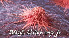 తెలంగాణలో క్యాన్సర్ మ్యాపింగ్