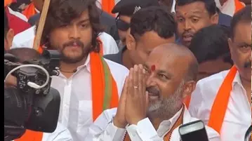 కేంద్రమంత్రి పాదయాత్రలో తేనెటీగల దాడి