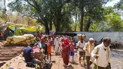 కాలినడకన శ్రీశైలం వస్తున్న కర్ణాటక భక్తులు