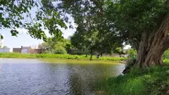 మా ఊరి గ్యాపకాలు...