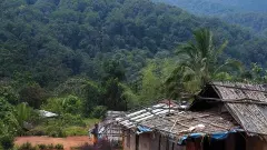 పులుల కోసం గ్రామాల తరలింపు:గిరిజనులకు కొత్త జీవితం, అడవికి కొత్త శ్వాస