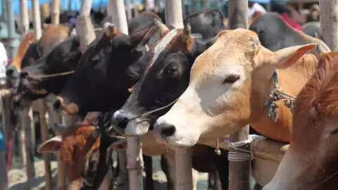 మద్రాస్ హైకోర్టు ఉత్తర్వులపై సుప్రీంకోర్టు స్టే మద్రాస్ హైకోర్టు ఉత్తర్వులపై సుప్రీంకోర్టు స్టే