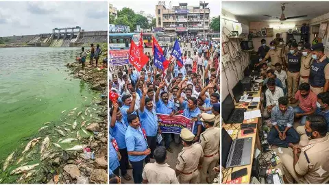 జూరాల నీరు ఆకుపచ్చగా మారింది.. చేపలు చనిపోతున్నాయి!
