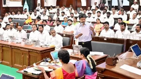 పార్టీ ఫిరాయింపుల నిరోధక చట్టాన్ని టీవీకే ఎలా అధిగమించింది?